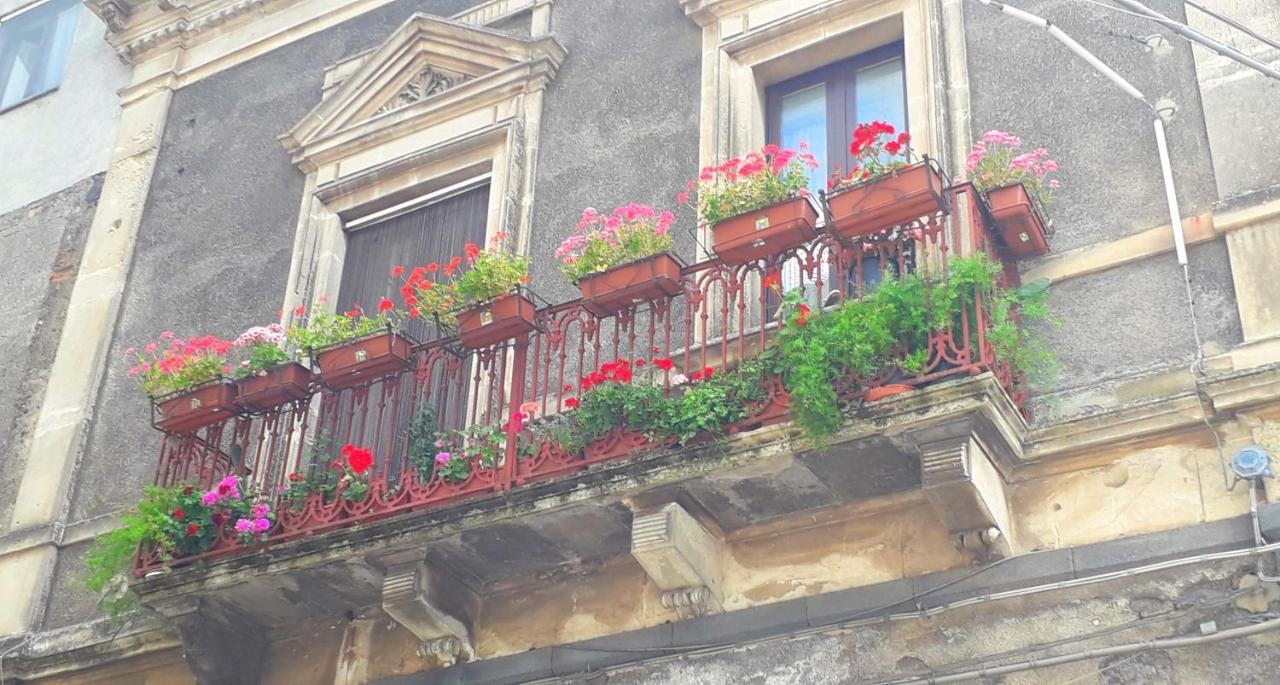 Da Rosa Bed & Breakfast Linguaglossa